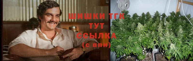 Экстази Белинский